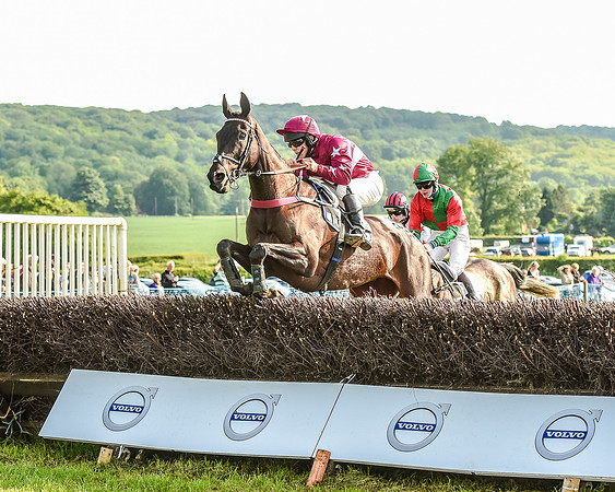 Race 7 - Div 1 - Open Maiden (51 of 94).jpg
