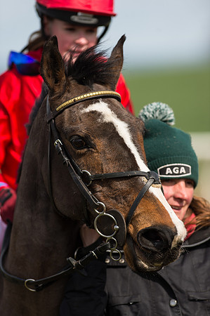 Pony Race 1 - 138cm  (50 of 57).jpg