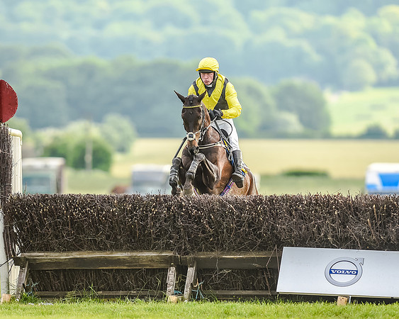 Race 7 - Div 2 - Open Maiden (116 of 163).jpg