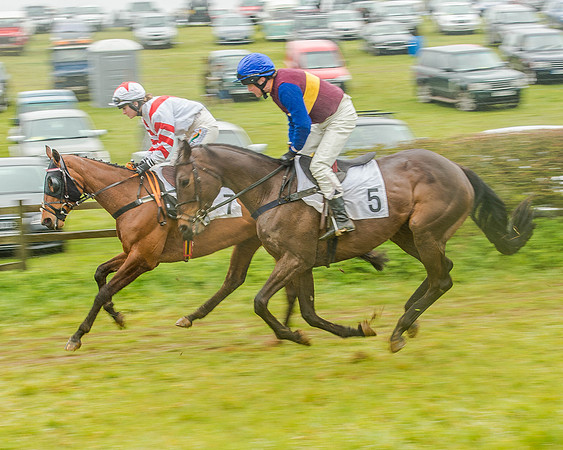 Race 5 - Restricted Race (37 of 146).jpg