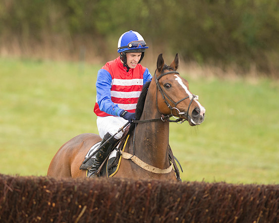 Race 5 - Open Maiden (67 of 147).jpg