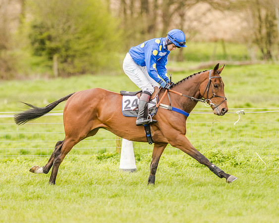 Race 2 - Open Maiden  (50 of 170).jpg