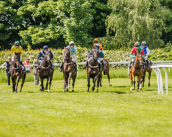 Race 3 - The Intermediate Race (27 of 97).jpg