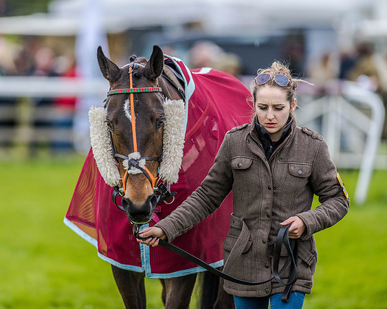 Race 4 - PPORA Novice Riders (7 of 151).jpg
