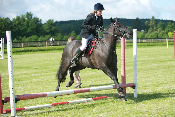 SOHS PC Summer Show at BCA 17th June 2012