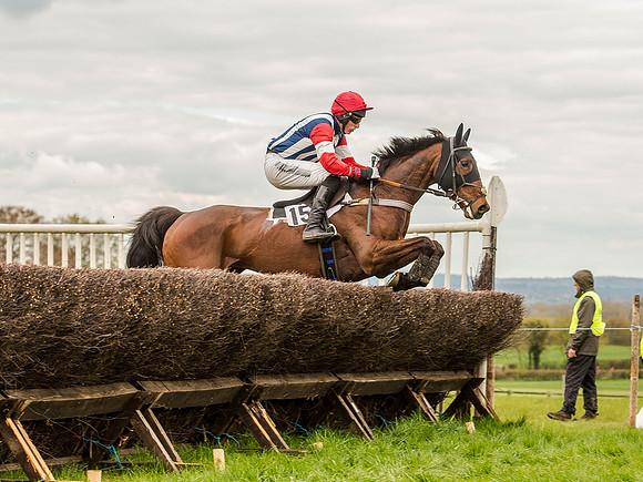 Race 3 - Young Horse maiden 2m5f (57 of 124).jpg