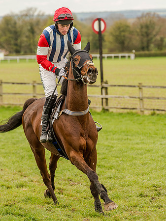 Race 3 - Young Horse maiden 2m5f (37 of 124).jpg