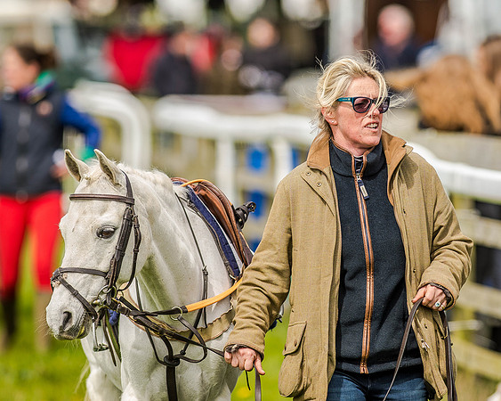Pony Race 1  (4 of 65).jpg