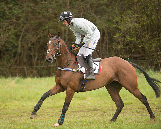 Race 5 - Open Maiden (40 of 147).jpg