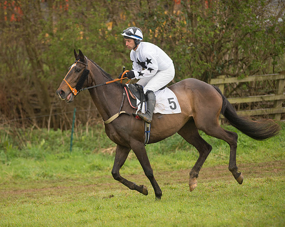 Race 5 - Open Maiden (35 of 147).jpg