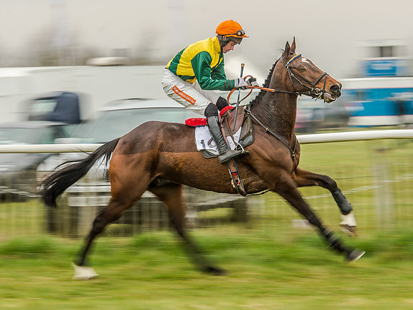 Race 5 - Open Maiden Division 2 (46 of 112).jpg
