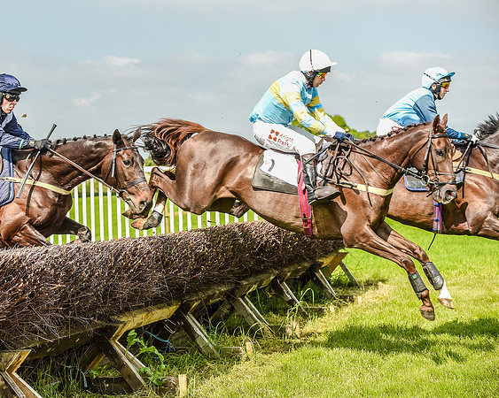 Race 3 - The Intermediate Race (33 of 97).jpg