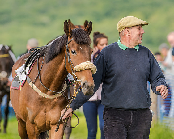 Race 7 - Div 2 - Open Maiden (21 of 163).jpg