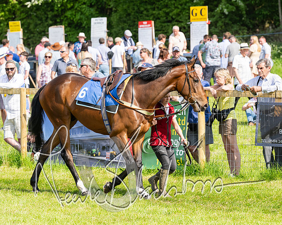Race 5  - Maiden race 2m5F Div-1 (35 of 197)