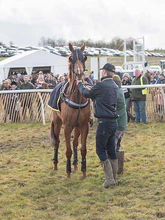 Race 4 - Novice and Veteran Riders race (11 of 46).jpg