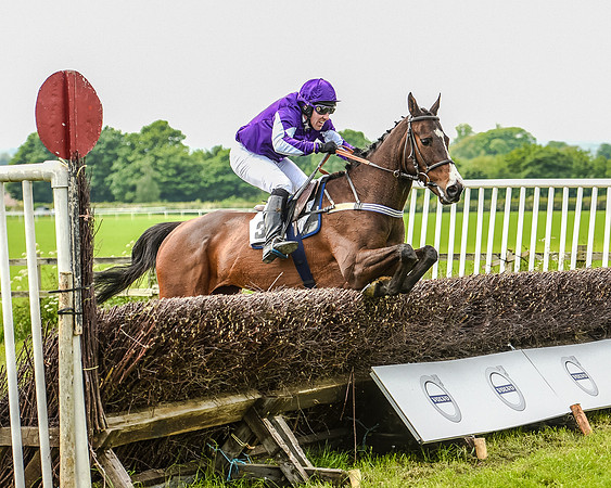 Race 2 - PPORA Members Novice Riders  (84 of 112).jpg