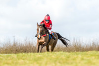 Pony Race 1 - 138cm  (11 of 57).jpg