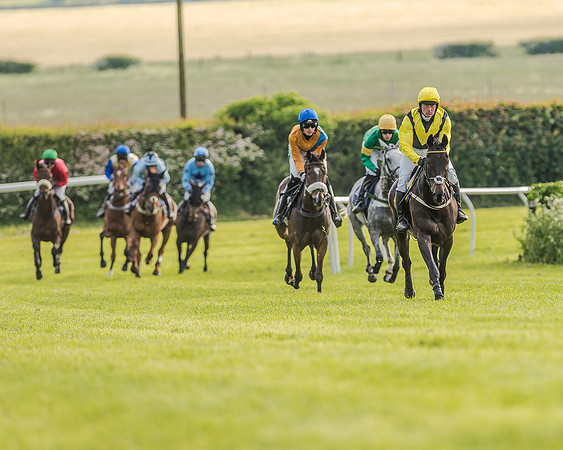 Race 7 - Div 2 - Open Maiden (75 of 163).jpg