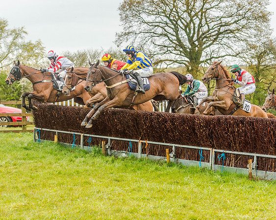 Race 5 - Restricted Race (79 of 146).jpg