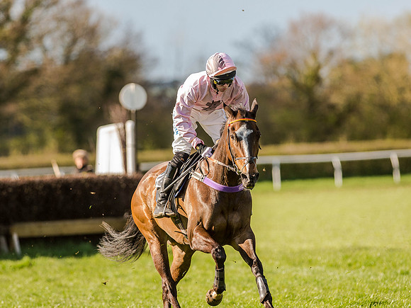 Race 6 - The Open Maiden (53 of 122).jpg