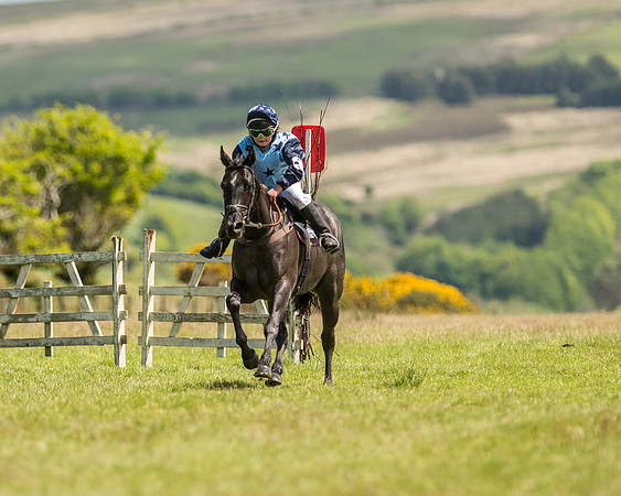 Pony Race 2  (21 of 33).jpg