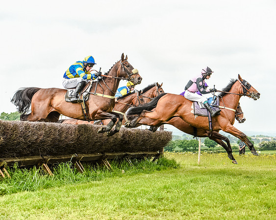 Race 2 - PPORA Members Novice Riders  (45 of 112).jpg