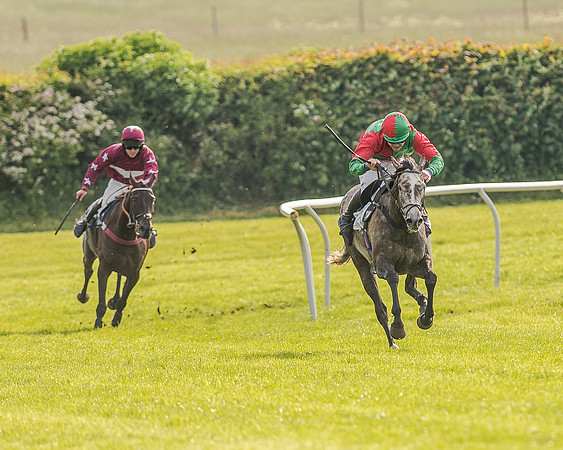 Race 7 - Div 1 - Open Maiden (63 of 94).jpg