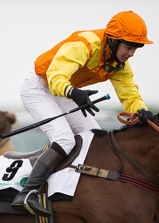 Race 6 - Confined Hunts-97