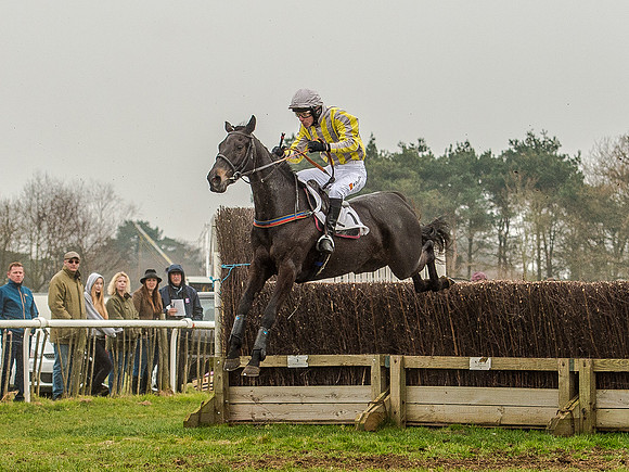 Race 5 - Open Maiden Division 2 (69 of 112).jpg