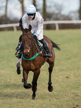 Race 5 - Restricted Race (46 of 120).jpg