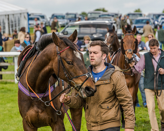 Race 4 - PPORA Novice Riders (38 of 196).jpg