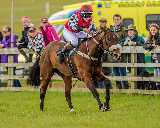 Pony Race 3 (33 of 78).jpg
