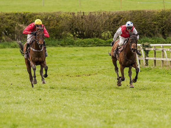 Race 1 - Confined Hunts (89 of 118).jpg