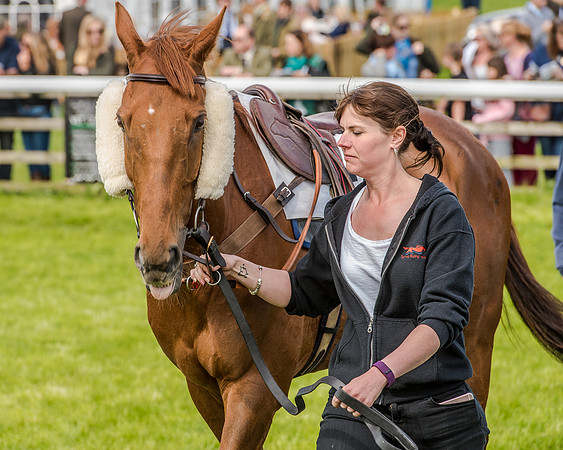 Race 4 - PPORA Novice Riders (4 of 196).jpg