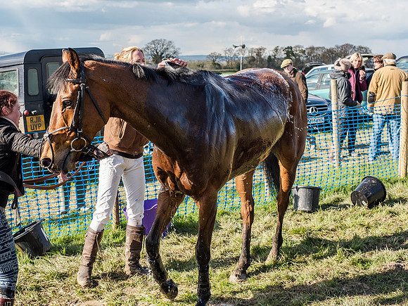 Race 6 - The Open Maiden (111 of 122).jpg