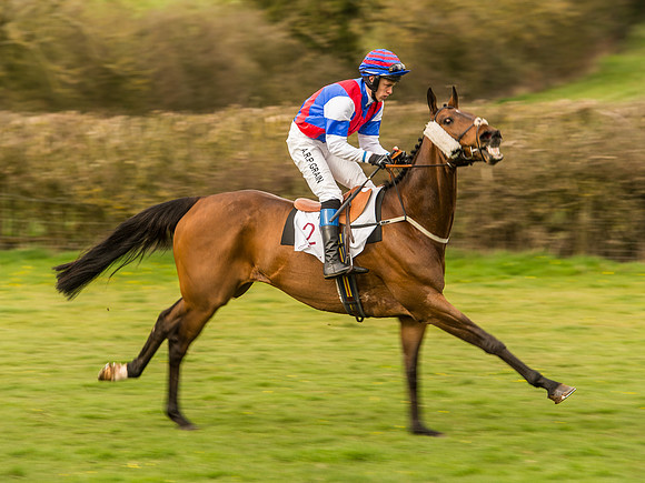 Race 6 - Open Maiden Division 1  (45 of 133).jpg