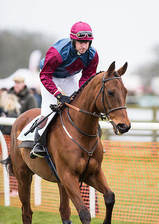 Race 7 - PPORA Novice Riders-12
