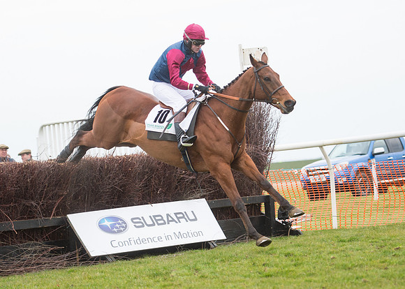 Race 7 - PPORA Novice Riders-57