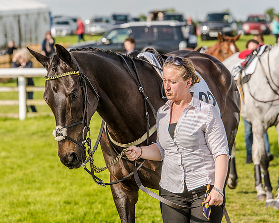Race 6 - Open Maiden Race (13 of 176).jpg