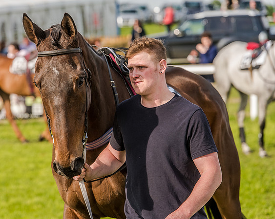 Race 6 - Open Maiden Race (11 of 176).jpg