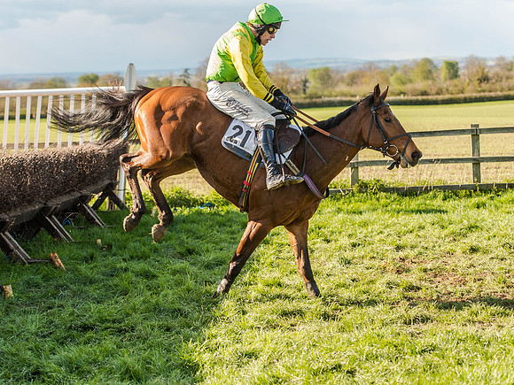 Race 6 - The Open Maiden (78 of 122).jpg