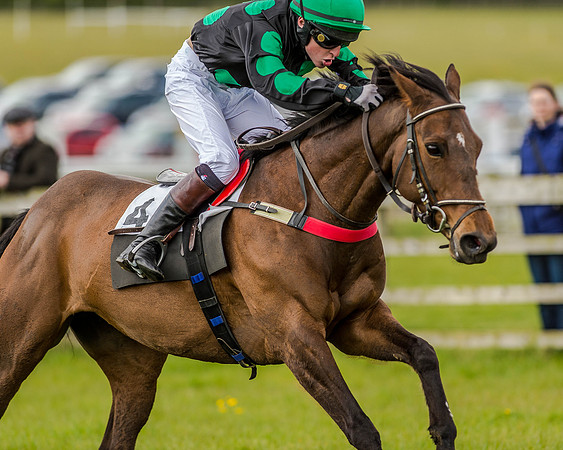 Pony Race 3 (50 of 78).jpg
