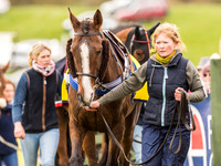 Race 6 - Open Maiden Division 1  (11 of 133).jpg