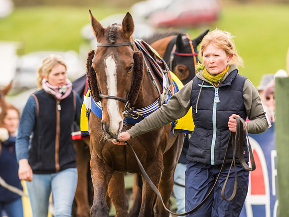 Race 6 - Open Maiden Division 1  (11 of 133).jpg