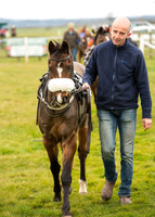 Pony Race 1 - 138cm -13