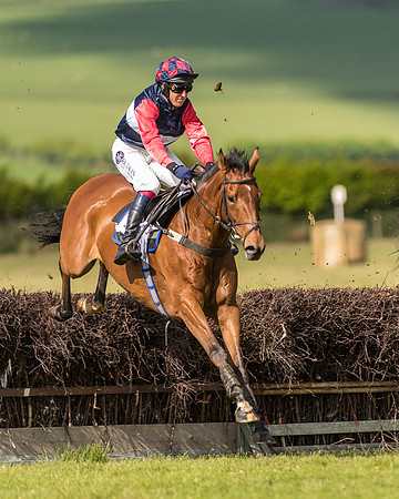 Race 5 - Intermediate Race (21 of 47).jpg