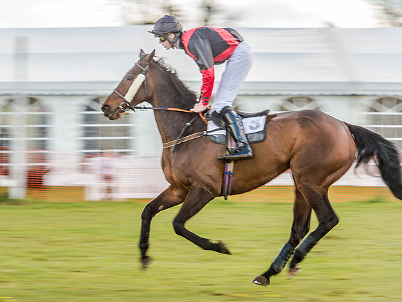 Race 6 - The Restricted Race [Nov-Vet] (31 of 84).jpg