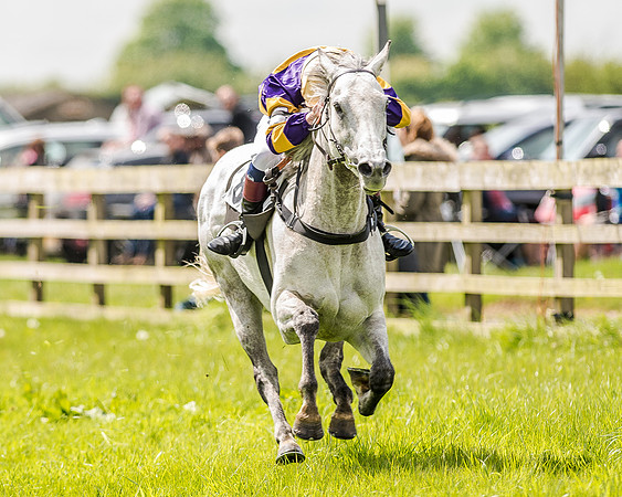Pony Race 3 (36 of 56).jpg
