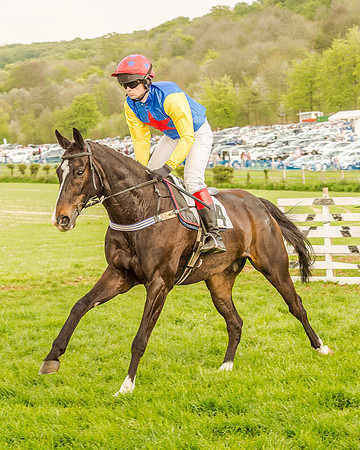 Race 7 - Hunt Members (25 of 106).jpg