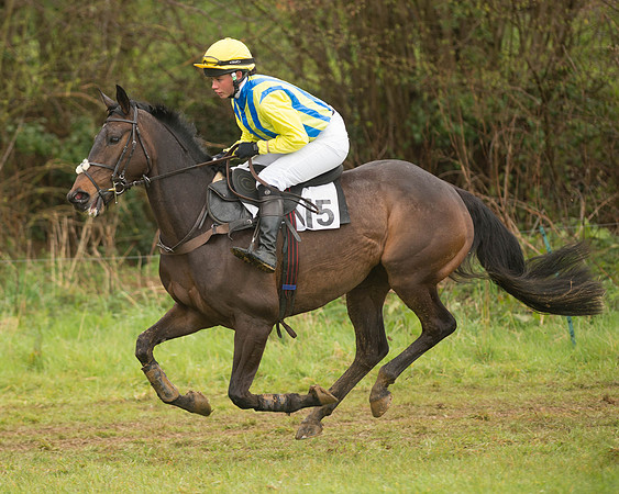 Race 5 - Open Maiden (45 of 147).jpg
